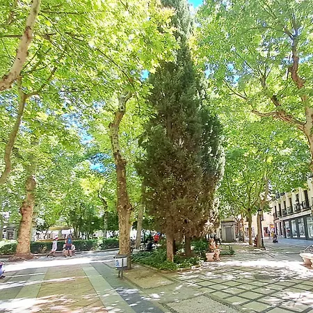 Apartasuite Centro Historico Atico Tranquilo Y Luminoso En El Corazon De Lägenhet Granada