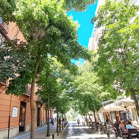 Apartasuite Centro Historico Atico Tranquilo Y Luminoso En El Corazon De Lägenhet Granada
